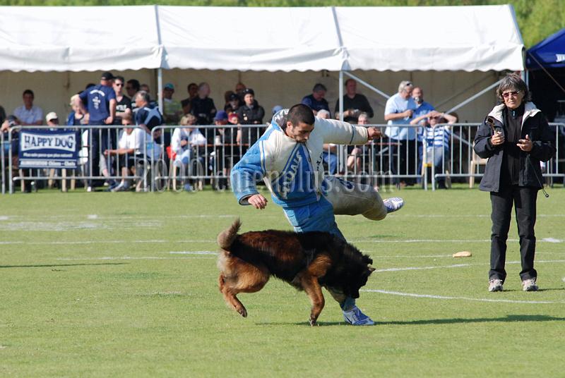 3 EME SELECTIF 2009 GRANDE SYNTHE 278.jpg